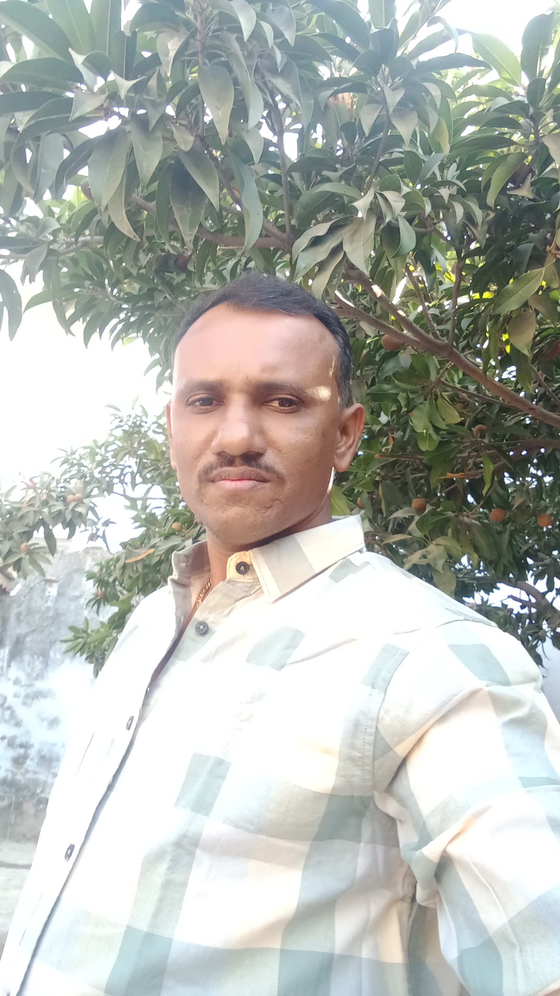 Lokhil Menandbha Narambhai