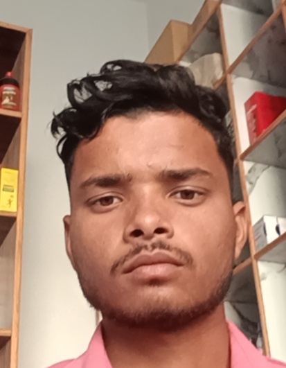 Vivek K. Lodhi