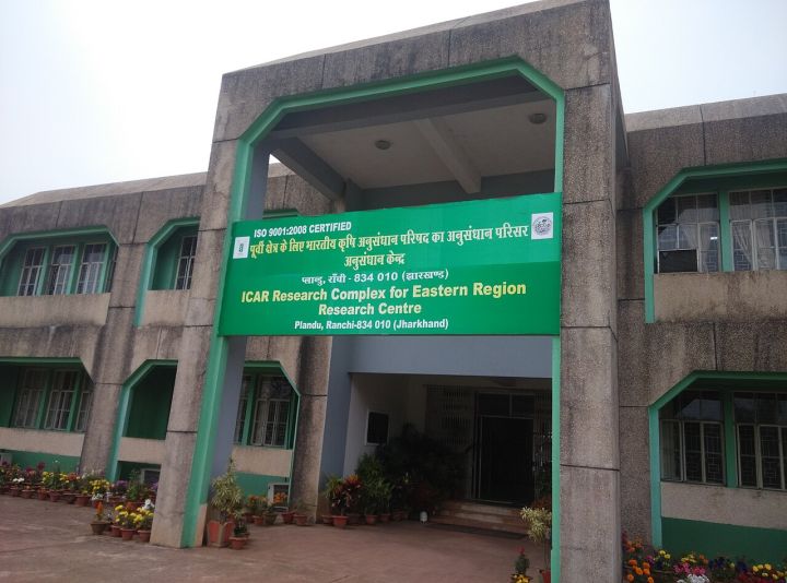 Manipur Ethnic Clashes Impact Local Fisheries, ICAR Report Reveals