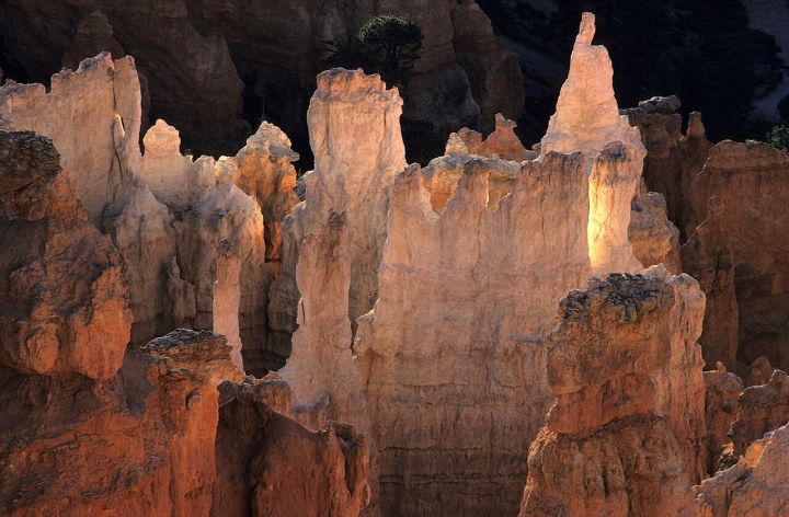 Centre Approves Over ₹10,372 Crore for National AI Mission