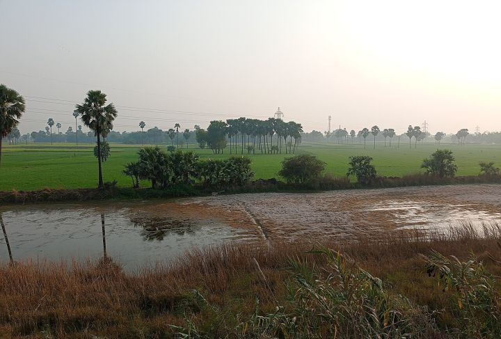 Bihar: Lightning Kills 2