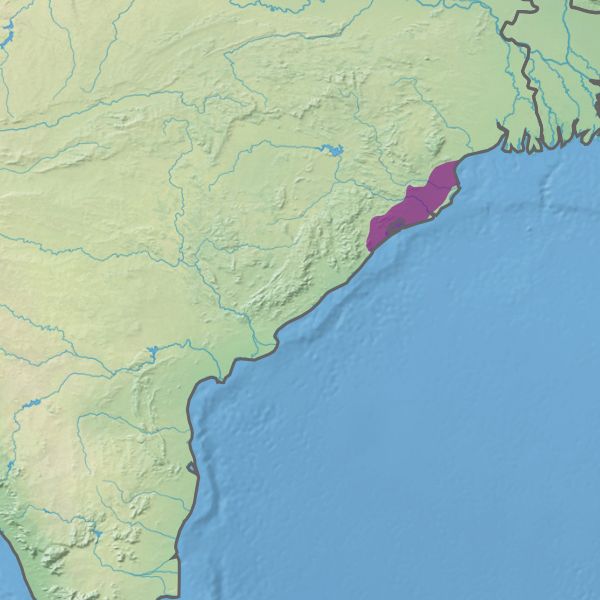 Odisha Launches Integrated Forest Command Centre for Smarter Governance