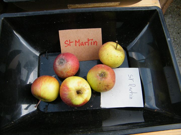 Apple Martin Begins First Film with Owen Wilson
