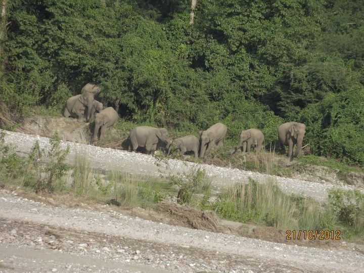 Raimona Tourism Surges