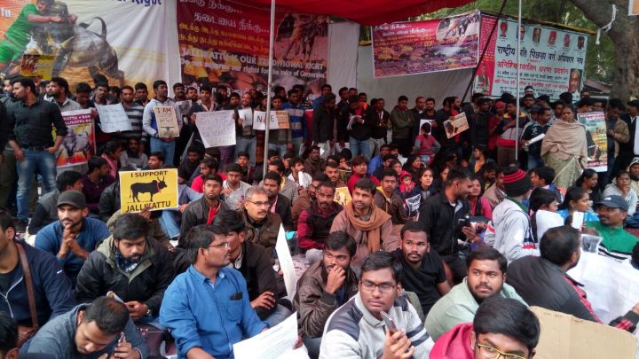 Nagaland Man Sends Pizzas To Jantar Mantar Protesters
