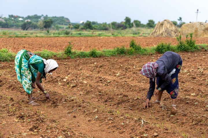 Karnataka Agriculture Officer Exams