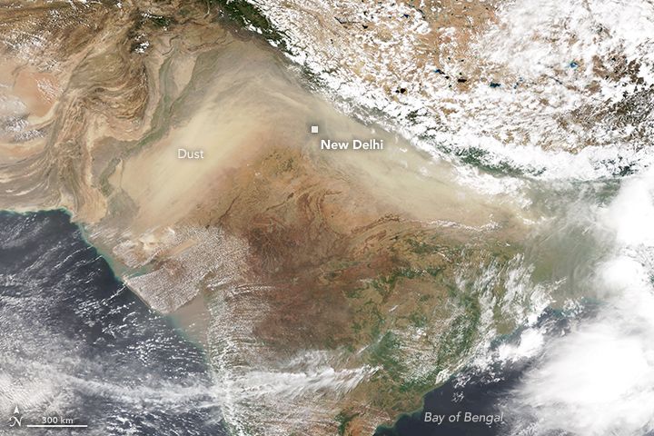 Delhi Monsoon Gains Pace: Weekend Showers Bring Relief, Orange Alert Issued