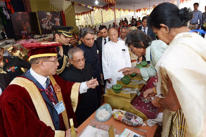Manipur Governor Reviews Welfare of Ex‑Servicemen
