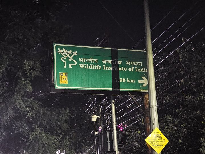 Gujarat Engages Wildlife Institute to Probe Surge in Lion Attacks