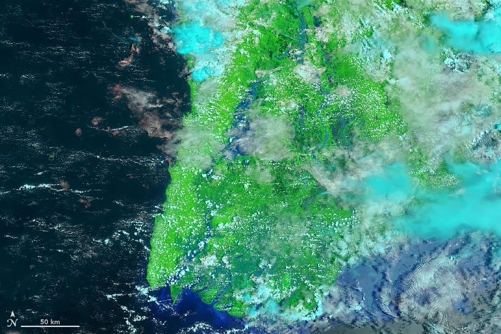 IMD Issues Monsoon Alert: Intense Rainfall Expected in Gujarat Until July 30