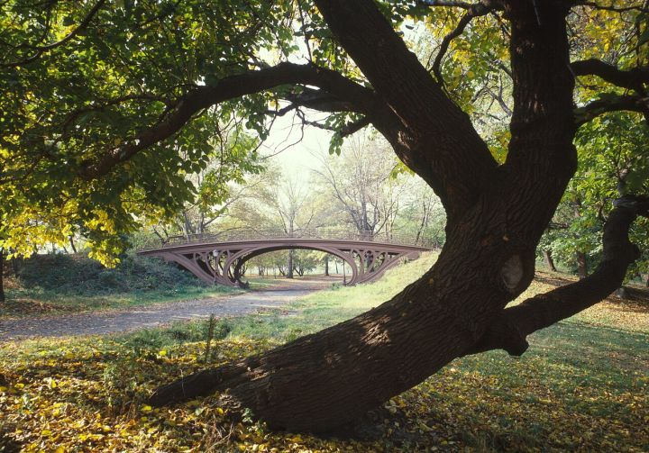 Two Stabbed in New York’s Central Park; Police Probe Possible Hate Crime