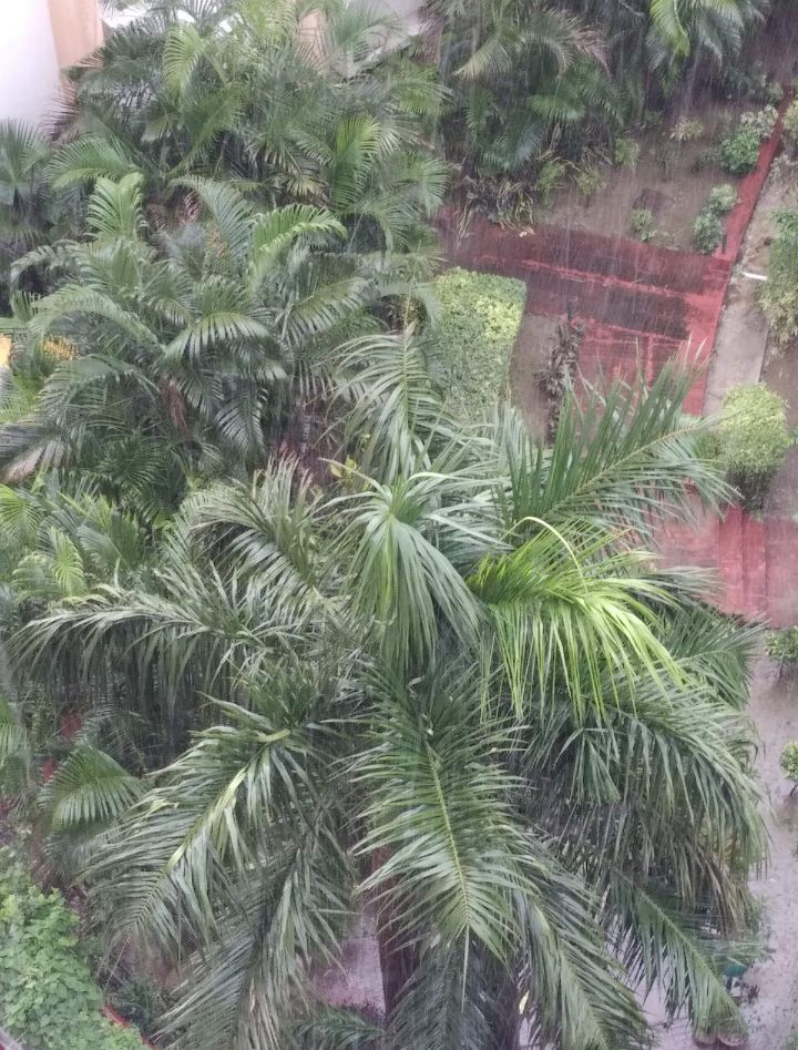 Lucknow Hit By Overnight Rain