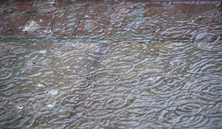Delhi Awaits Monsoon Rain
