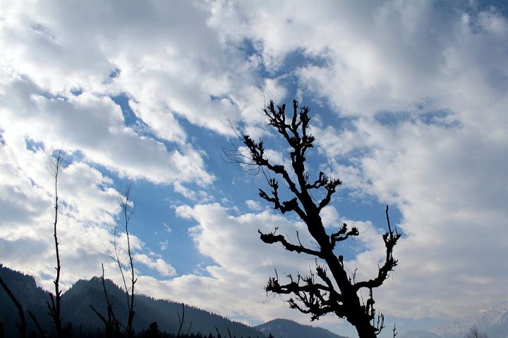 Jammu Kashmir to Witness Heavy Rain