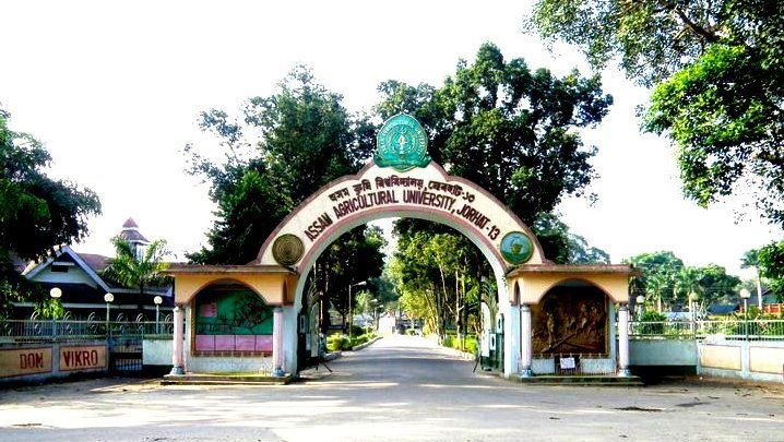 Assam Launches Multilingual Farmer Helpline to Boost Inclusive Infrastructure