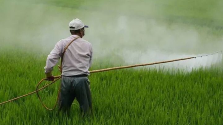 New Rules Bar Ministers' and Secretaries' Families from Agriculture Scheme