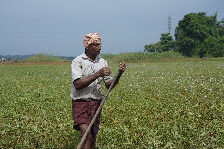 Kerala Celebrates Farmers’ Day on Chingam 1, 2026