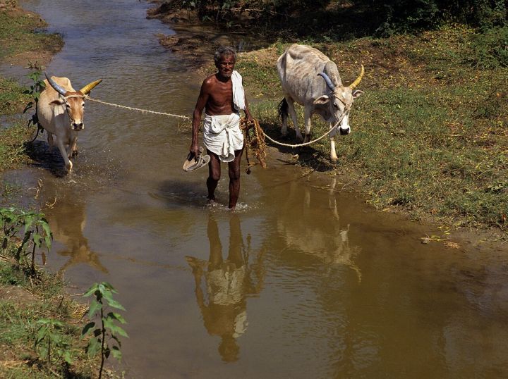 Tamil Nadu Launches Interest Subsidy for Women Self‑Help Groups