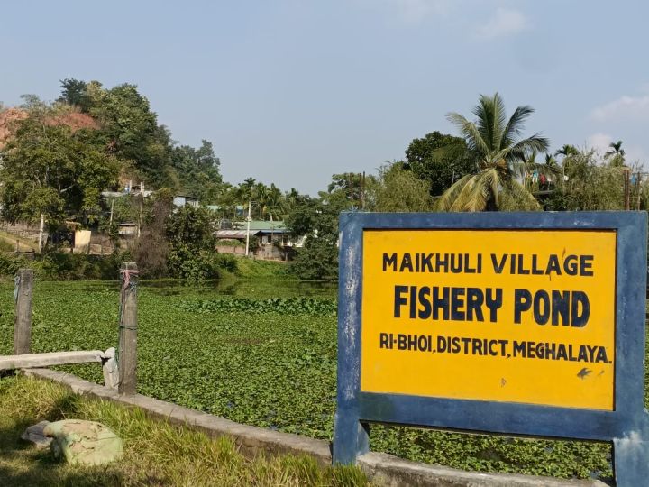 Meghalaya-Assam Taxi Operators' Standoff Leaves Tourists Stranded
