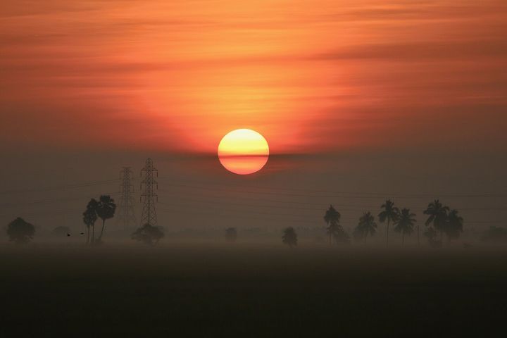 AP Farmers Stick to Paddy
