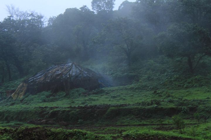 August Rain Helps India