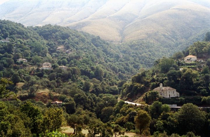 Jharkhand’s Saranda Forest Deemed Naxal‑Free After Three Decades