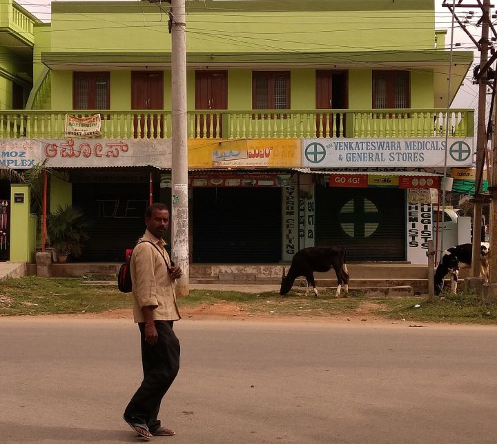 Karnataka Announces August 13 Bandh: Services to Be Disrupted