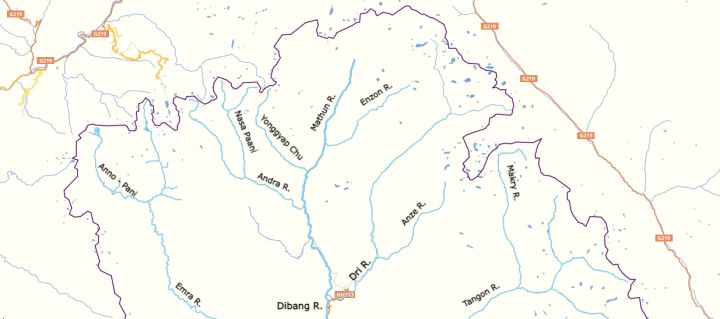 Foot‑and‑Mouth Disease Claims Over 200 Mithuns in Arunachal’s Dibang Valley