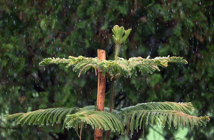 Delhi to Receive Light Rain