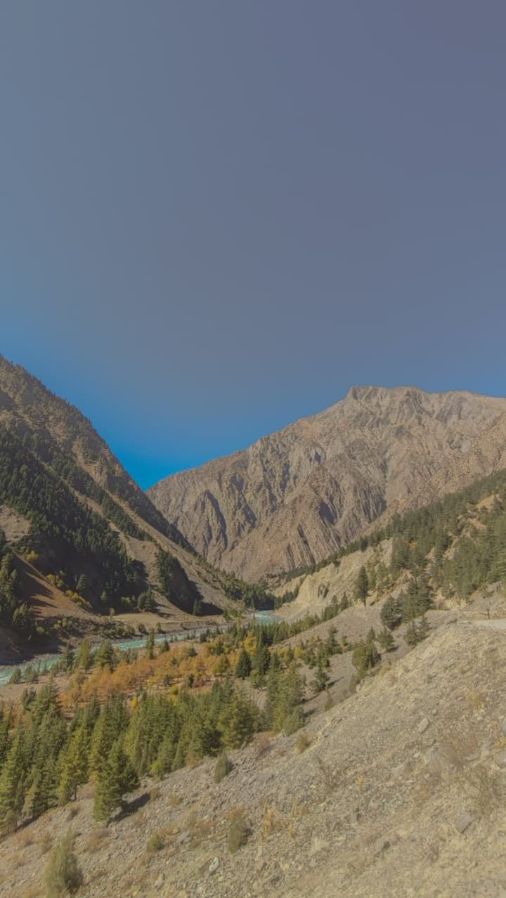 Six Tourists Fatal in Himachal Road Accident in Chamba District