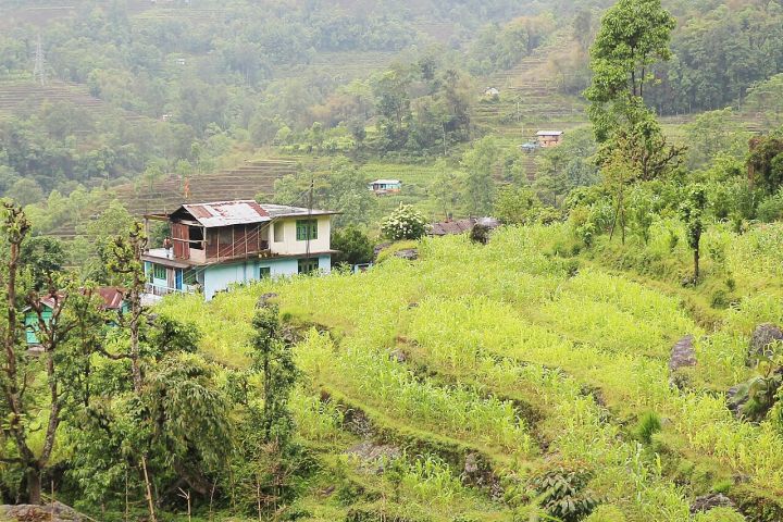 Sikkim Express Reports