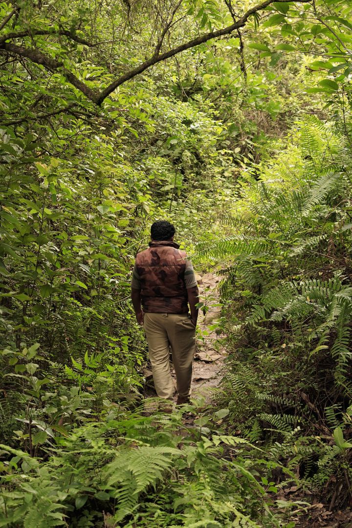 Murder suspect detained under Karnataka's KAAPA, reports The Times of India
