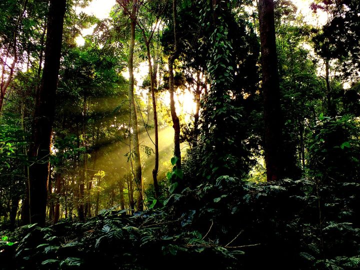 Aspiring Model Gang-Raped in Odisha Forest; One Suspect Arrested