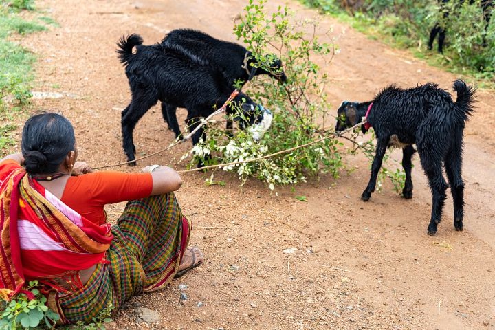 India Near-Universal Banking Access Achieved, 99.92% of Villages Covered