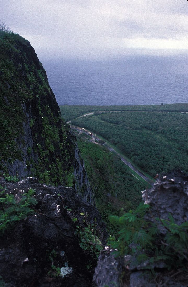 Teen's 2023 Cliff Jump Suicide Attempt Linked to iPhone EMI Debate