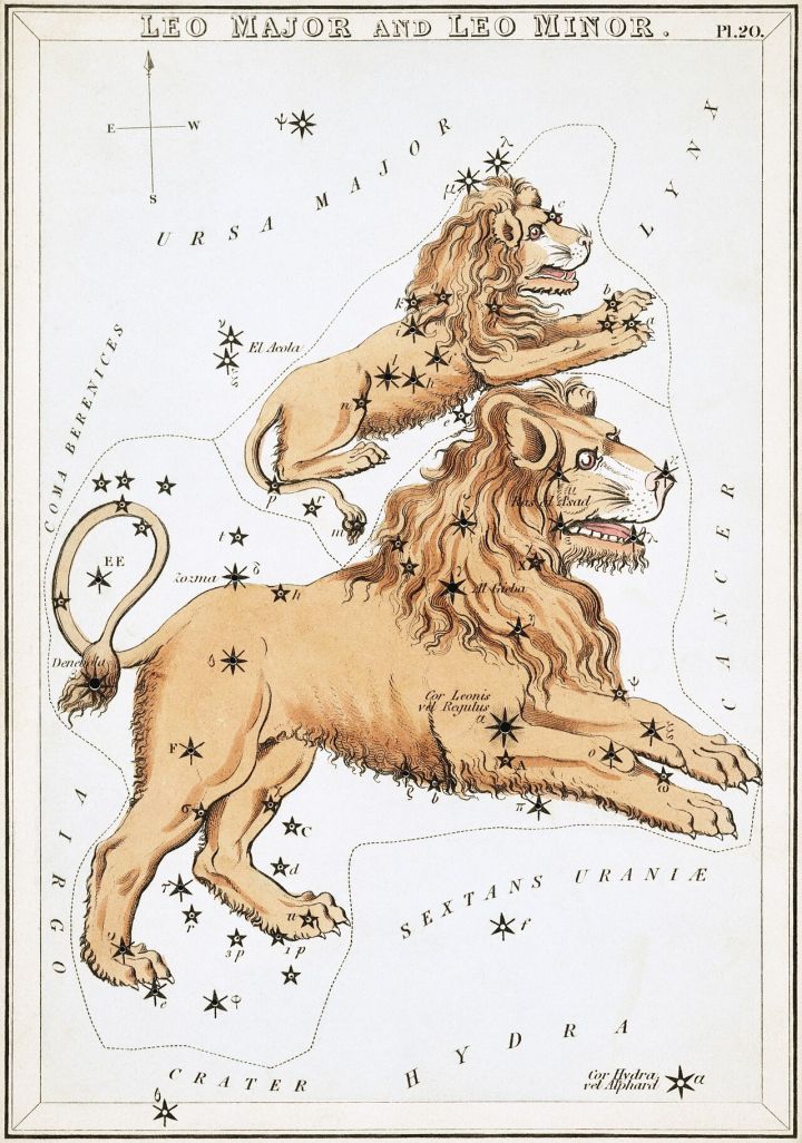 Leo and Two Other Zodiac Signs Expected to Shine on August 25