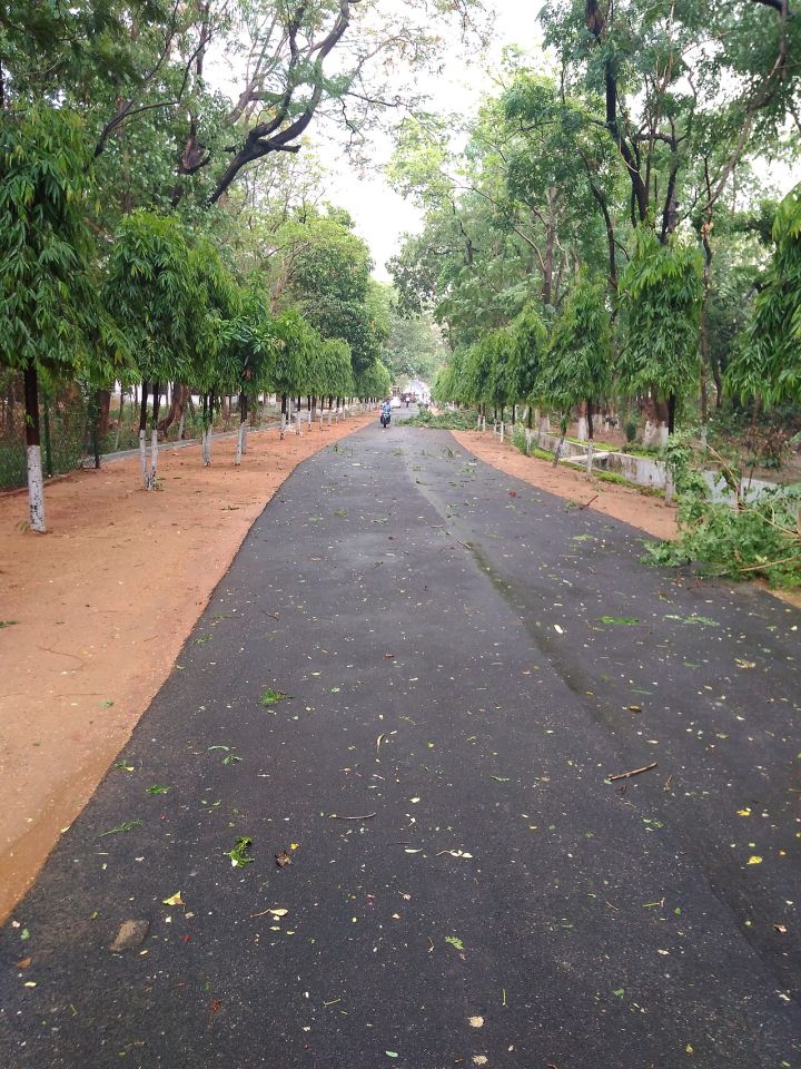 IMD Predicts Heavy Rainfall Across Jharkhand Until 6 August