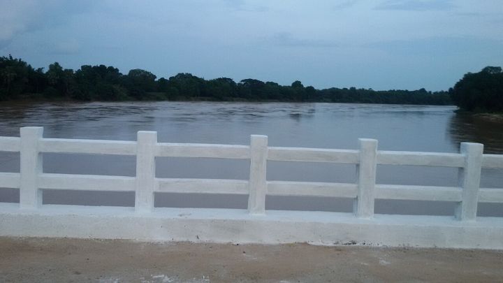Odisha Schools Closed in Bhadrak Amid Floods, Holiday Declared