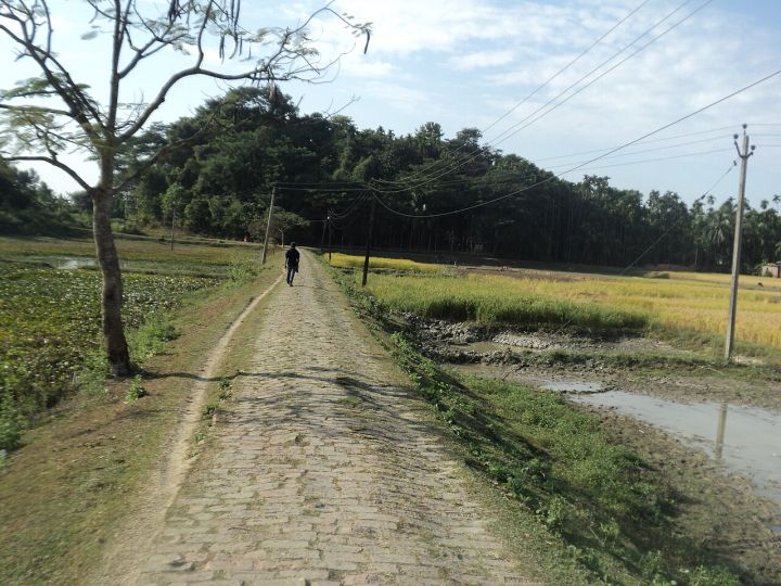 Assam: 60-yr-old held for rape attempt