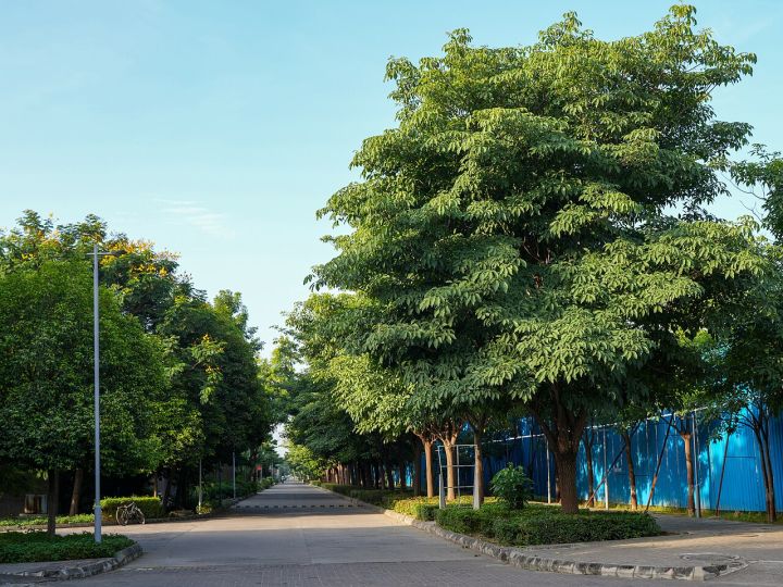 Gujarat Extends Full Penal Interest Waiver for Housing Beneficiaries