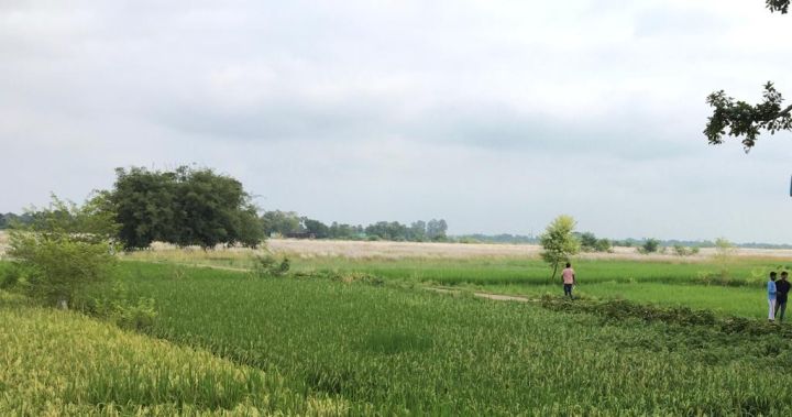 Bihar Sets Up New Sugar Mill