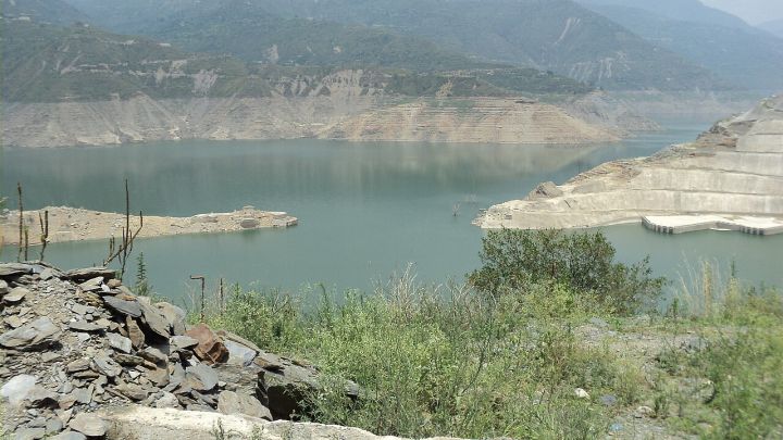 First Indian Discovery of Hermaphrodite Common Carp in Tehri Dam Reservoir