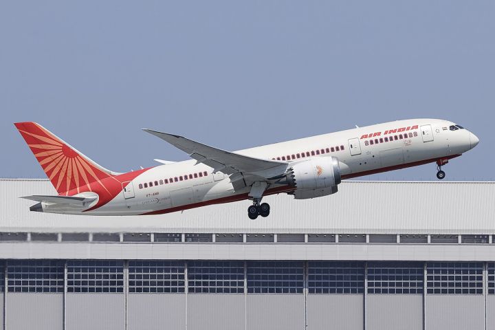 Pilots' Body Seeks Role in Review of Air India AI171 Crash Report