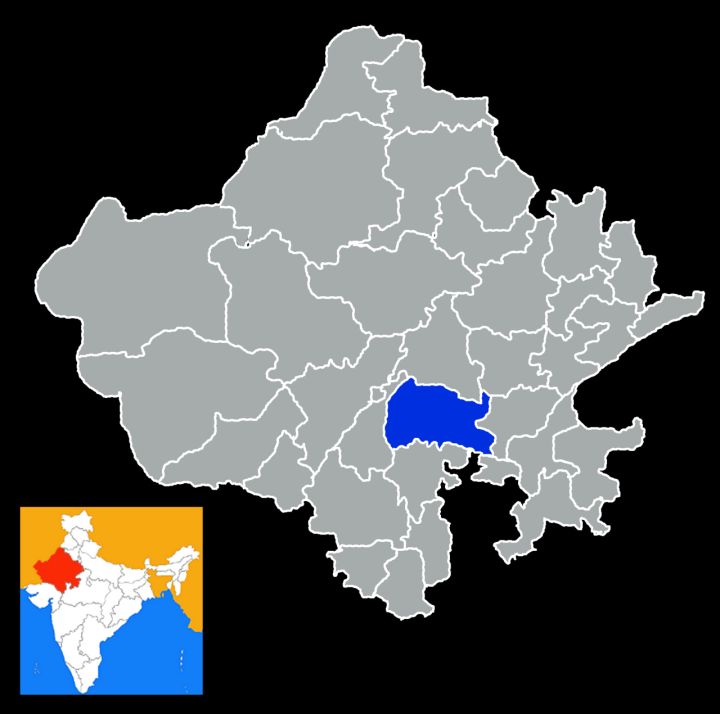 Bhilwara Municipal Elections: BJP Leads, Congress Falls Behind, Independents Win 8 Wards