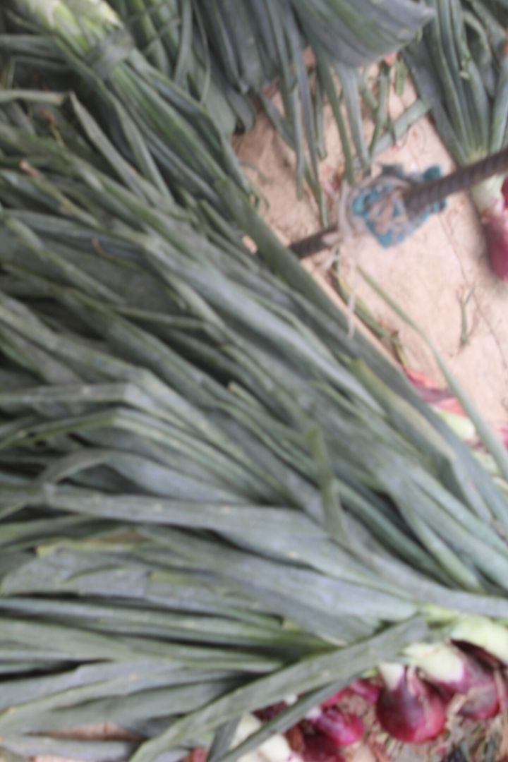Onion prices soar to Rs 70 per kg across Odisha due to supply shortage