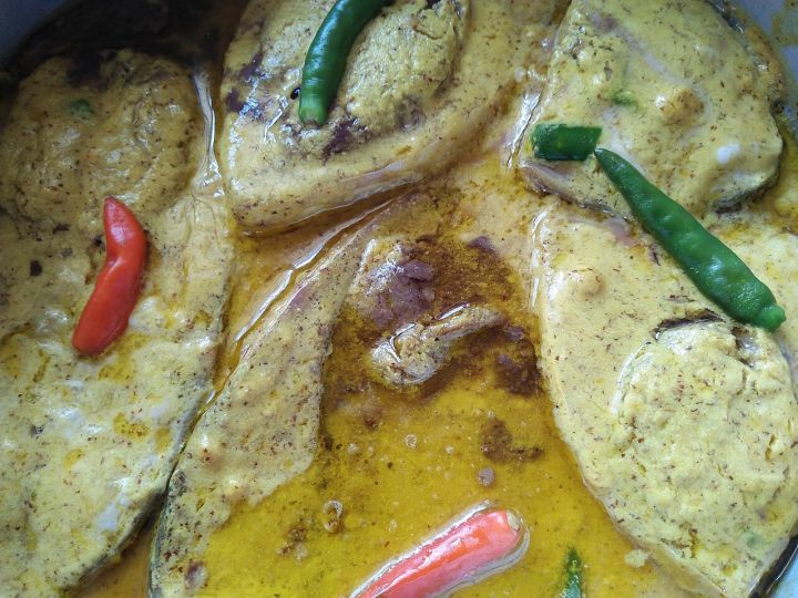 Bangladesh to import Hilsa fish from Gujarat as local catches fall