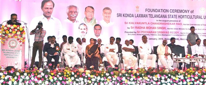 Telangana approves higher welfare grants for ex‑servicemen and widows
