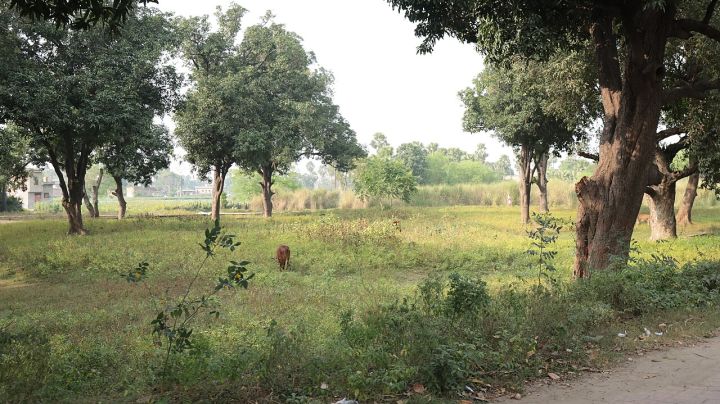 Army soldier dies of burns in Bihar, villagers protest for action