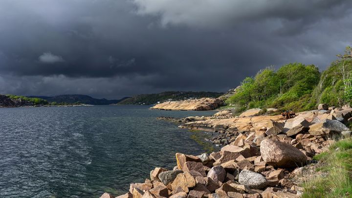 IMD predicts heavy rainfall across 14 districts of Telangana today