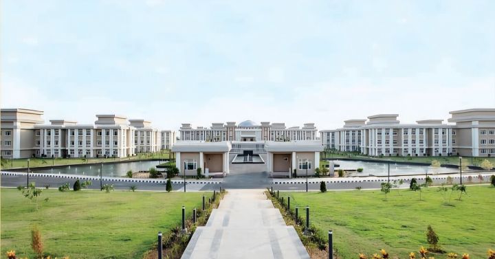 Jharkhand HC Halts Cutting of 13,681 Trees for Chatra Bypass Project